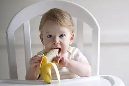 兔年男孩名字首选 属兔男孩最吉利的名字