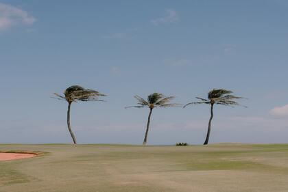 起名字2023免费八字起名 2023起名字大全免费