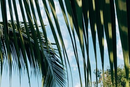 2023年给男兔宝宝取名字 2023年属兔男宝宝取名