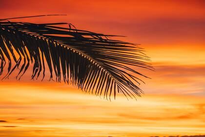 男兔宝宝取名大全2023款 2023年属兔男孩周姓取名字