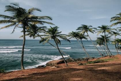 属兔男孩最吉利的名字2023年兔宝宝 兔年马姓男孩沉稳大气的名字大全