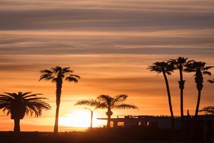 2023属兔男孩最吉利的名字 2023属兔男孩大气有涵养的名字