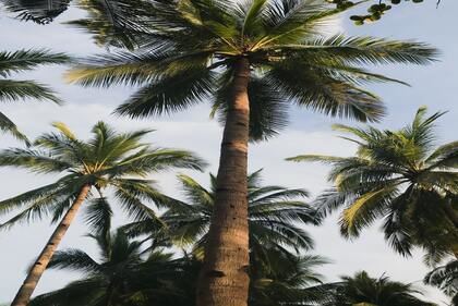 2023年3月11日兔男宝宝取名字好听又有寓意 男宝兔年取名字大全