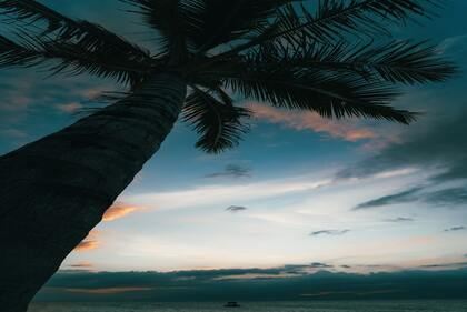 属兔男孩名字最佳用字取名 兔宝宝起名男孩宜用字