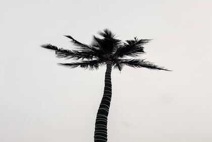 2023年3月17日兔女宝宝取名字好听又有寓意 属兔女孩可爱大方的名字