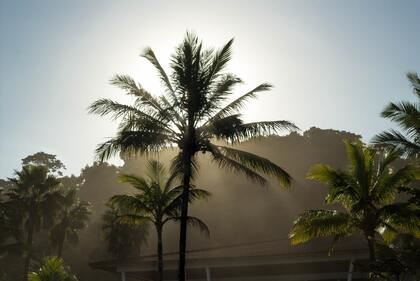 2023年3月17日兔男宝宝取名字好听又好记 2023兔年男孩取什么名字好