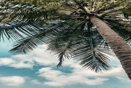 兔年男宝宝名字 属兔男孩吉祥名字大全