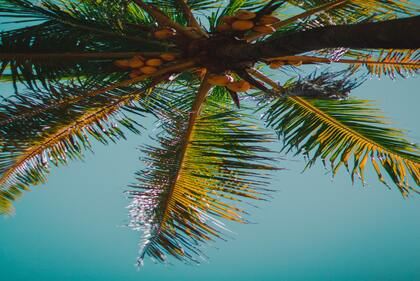 属兔女宝宝好听又好记的名字大全 属兔女孩叫什么名字好