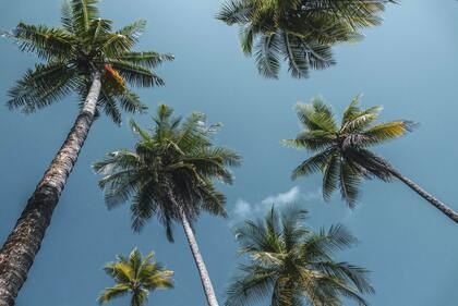 兔年女孩姓陈取名 陈姓女孩吉利取名法大全