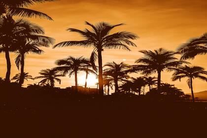 诗词取名字的好处有哪些 诗词里好听的兔子名字