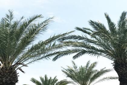 2023年3月23日兔男宝宝取名字好听又有寓意 兔宝宝四字名字