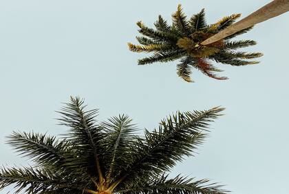 兔年男孩名字首选 兔男宝宝精选名字大全