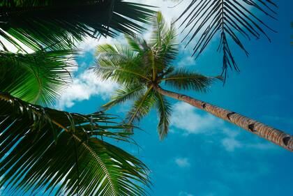 属兔男孩取名最佳名字大全 男兔宝宝起名字2023年