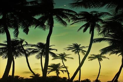 于姓女孩名字2023年属兔 精选600个