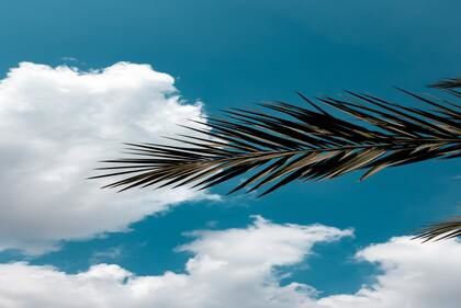 郑姓女孩名字2023年属兔 精选600个