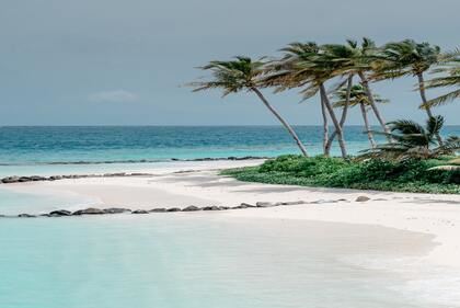 独具魅力的女宝宝名字,优雅好记的女孩取名