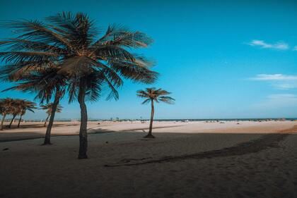 姓韩的兔宝宝女孩名字 韩姓女孩名字大全