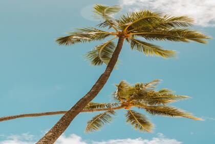 2023年宝宝起名字大全女孩 2023水兔宝宝取名