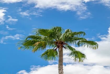 女宝宝优雅名字精选,好记又动听的女孩取名推荐