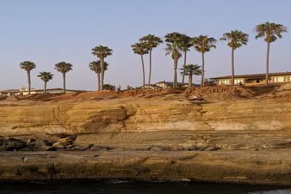 兔年女宝宝取名攻略大揭秘,2023属兔宝宝的最佳名字