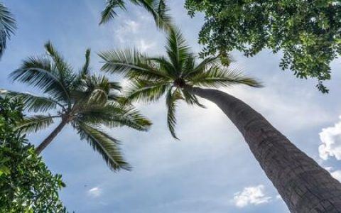 起名字2023起名男宝宝免费 前程似锦大气的男孩名字