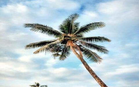 李姓男孩名字大全2023属兔 李姓男兔宝宝取名100分