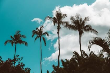 姓刘男孩子取名大全2023款 刘氏宝宝起名大全免费