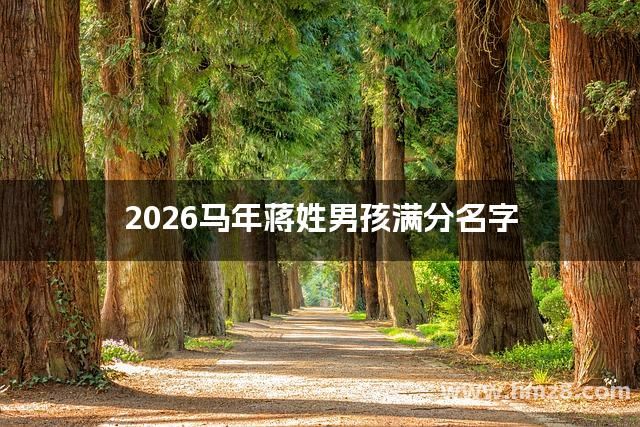 2026马年蒋姓男孩满分名字