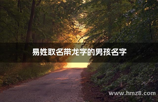 易姓取名带龙字的男孩名字