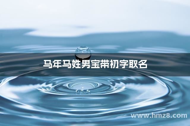马年马姓男宝带初字取名