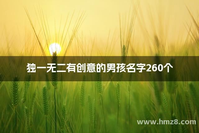 独一无二有创意的男孩名字260个