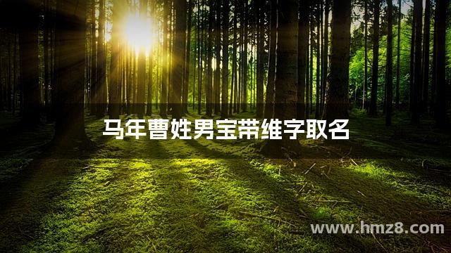 马年曹姓男宝带维字取名