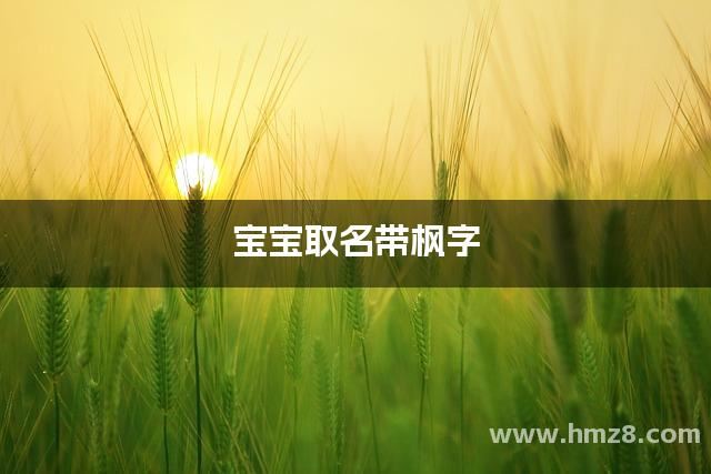 宝宝取名带枫字