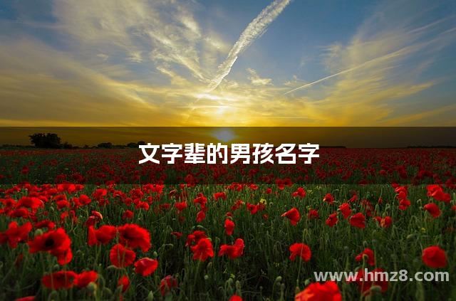 文字辈的男孩名字