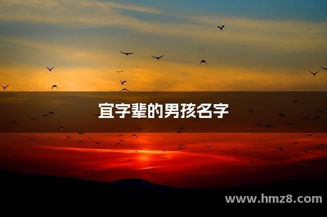宜字辈的男孩名字