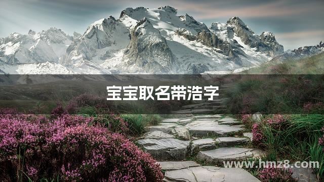 宝宝取名带浩字