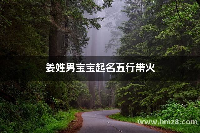 姜姓男宝宝起名五行带火