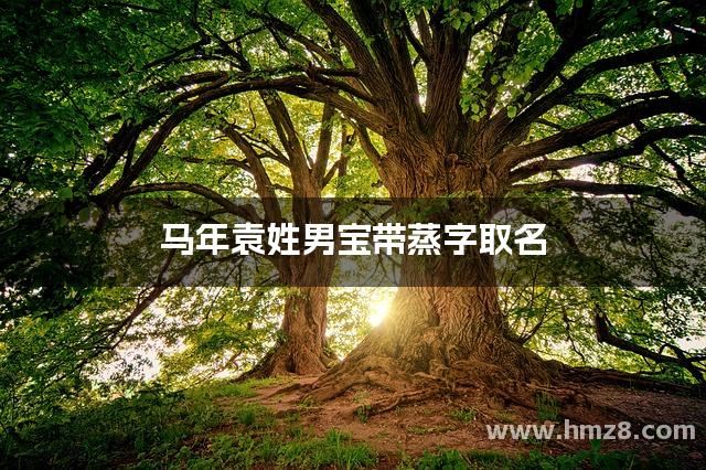 马年袁姓男宝带蒸字取名