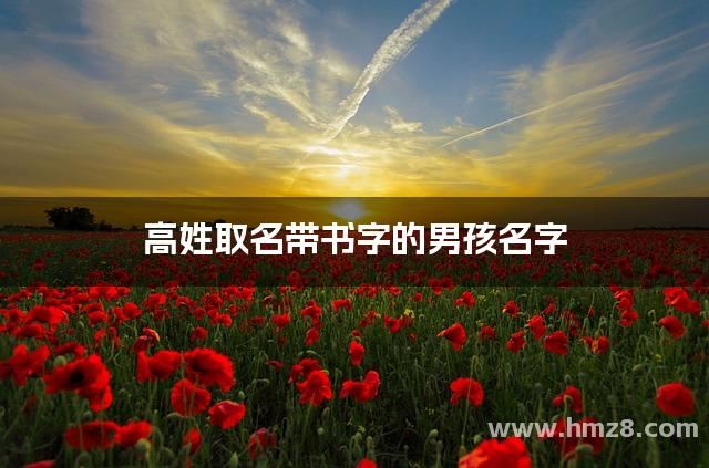 高姓取名带书字的男孩名字