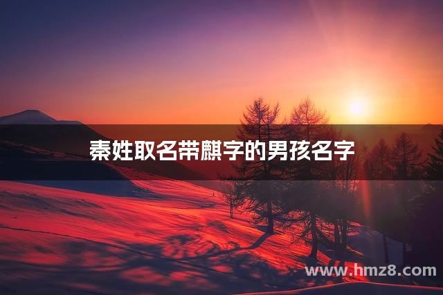 秦姓取名带麒字的男孩名字