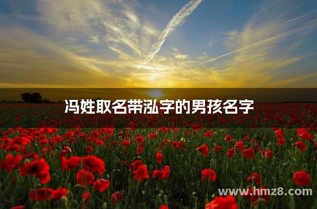 冯姓取名带泓字的男孩名字