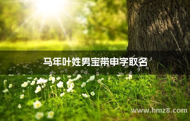马年叶姓男宝带申字取名