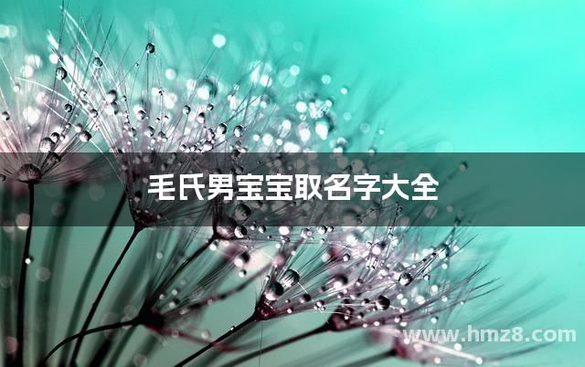 毛氏男宝宝取名字大全