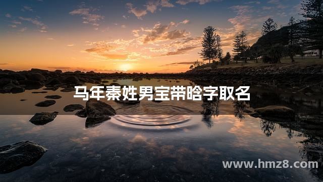 马年秦姓男宝带晗字取名