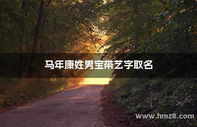 马年康姓男宝带艺字取名