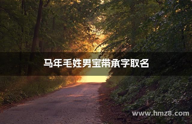 马年毛姓男宝带承字取名