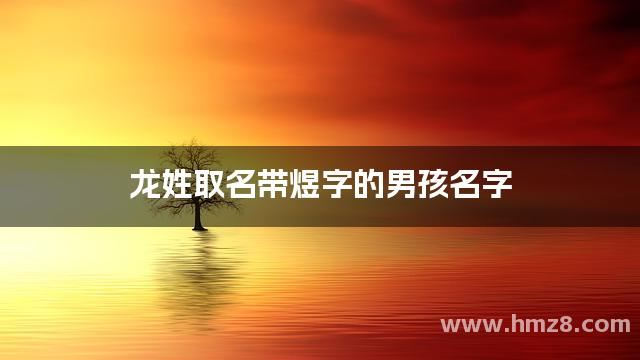 龙姓取名带煜字的男孩名字
