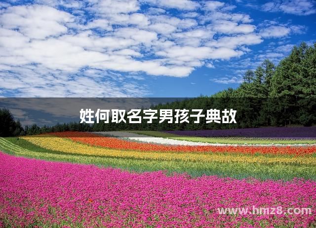 姓何取名字男孩子典故