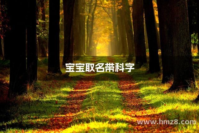宝宝取名带科字