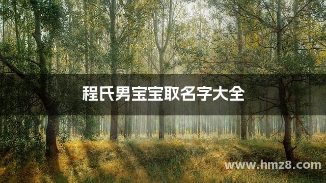 程氏男宝宝取名字大全